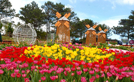 trang-mat-tai-da-lat